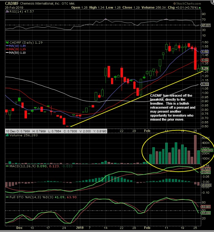 Cadmf Stock Chart