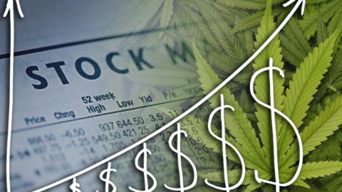 There are Still Unknown Pot Stocks!