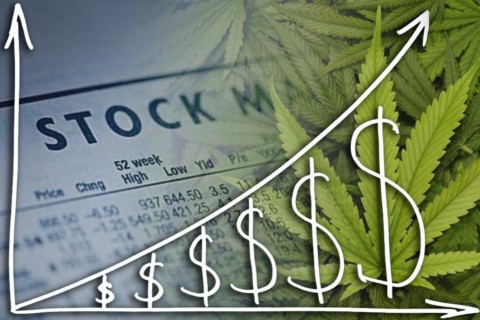 There are Still Unknown Pot Stocks!